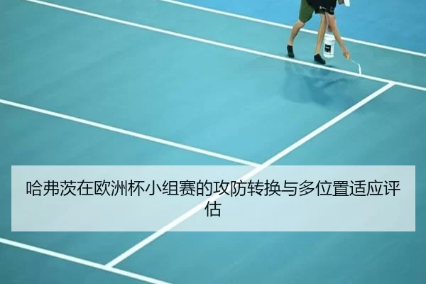 ha-fu-ci-zai-ou-zhou-bei-xiao-zu-sai-de-gong-fang-zhuan-huan-yu-duo-wei-zhi-shi-ying-ping-gu-2-346.jpg
