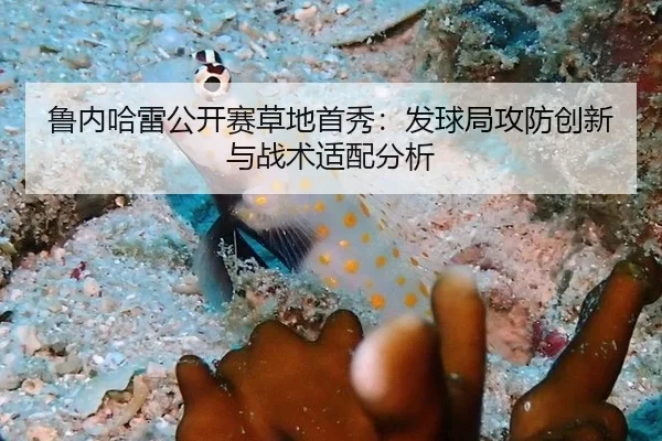 鲁内哈雷公开赛草地首秀：发球局攻防创新与战术适配分析