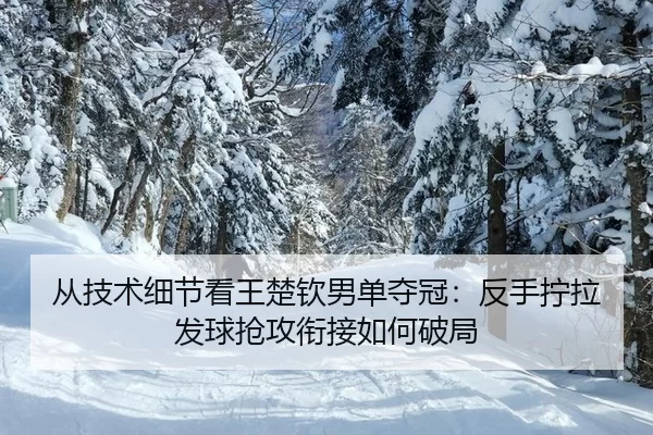 从技术细节看王楚钦男单夺冠：反手拧拉发球抢攻衔接如何破局